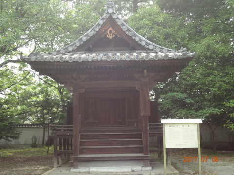 DSC09156