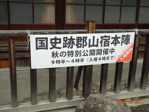 DSC09591