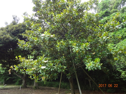 DSC08700