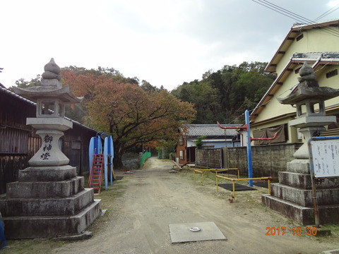 DSC09565