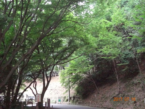DSC09165