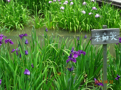 DSC08730