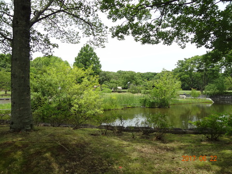 DSC08709
