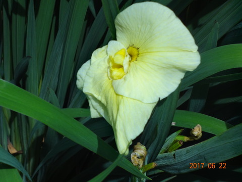 DSC08732