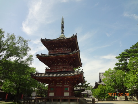 DSC09081