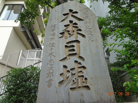 DSC08838