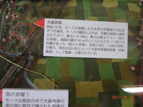 DSC08891