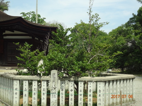 DSC09095