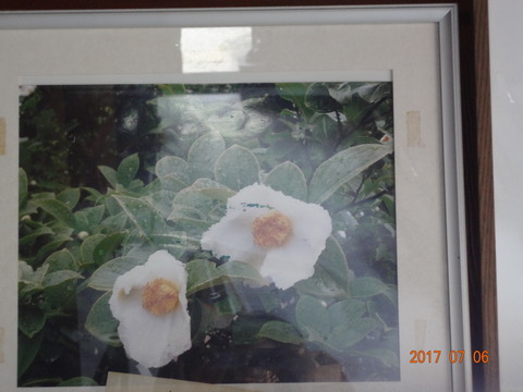 DSC09111