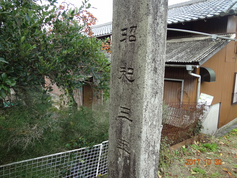 DSC09567