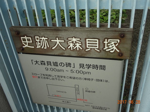 DSC08835