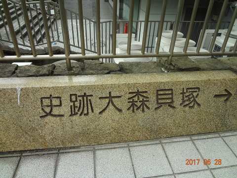 DSC08834