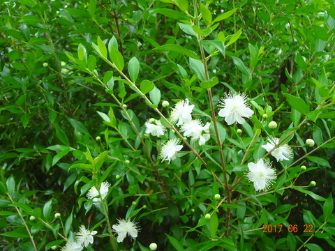 DSC08615