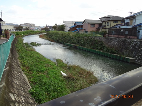 DSC09580