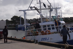 RIMG1784