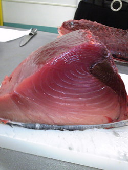 マグロ断面