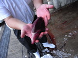 ホシ
