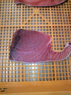 ベタ身