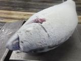 目方