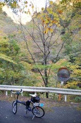 s-DSC_9407