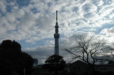 s-DSC_6032