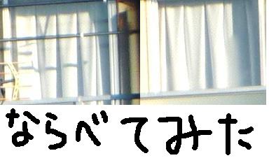 Ʊ¤¸¥«¡¼¥Æ¥ó