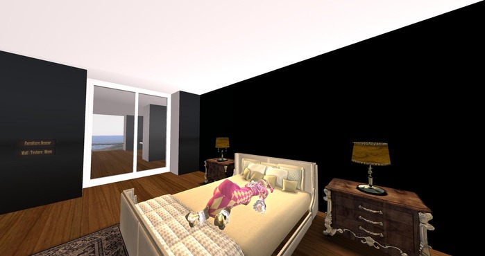 Snapshot_008