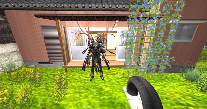 Snapshot_005