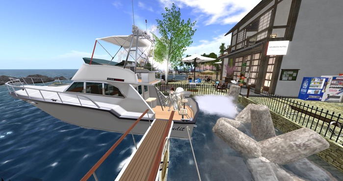 Snapshot_010