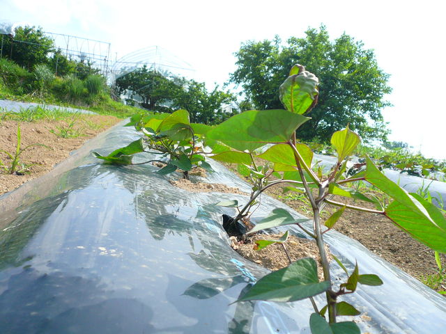 P1080845