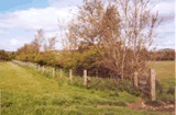 3b59a71b.gif