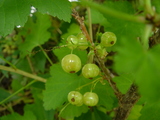 �դ�������2