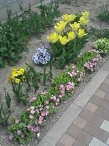 8332c836.jpg