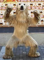 いぬぅ けえこさんの 何でも記録 ノート