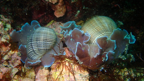 P7180106