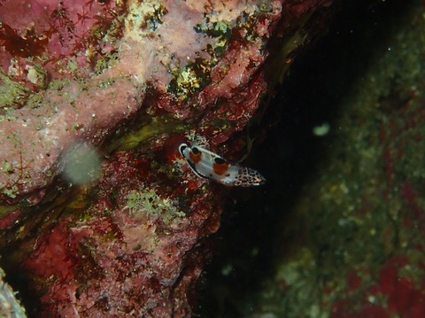 P7220040