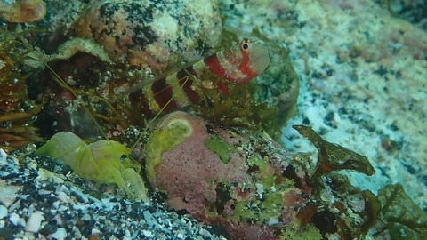 P7180063