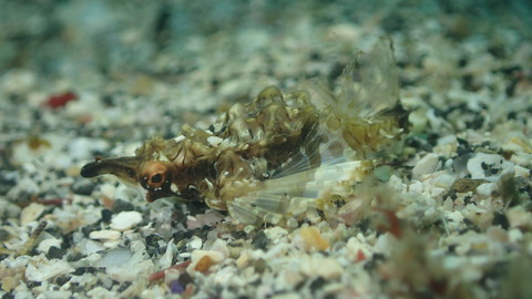 P7180096