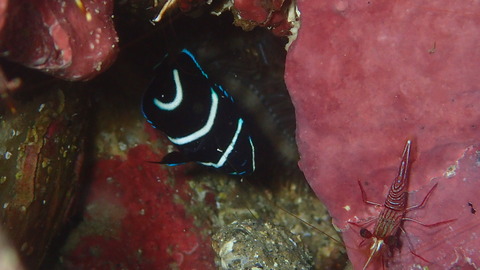 P7180071