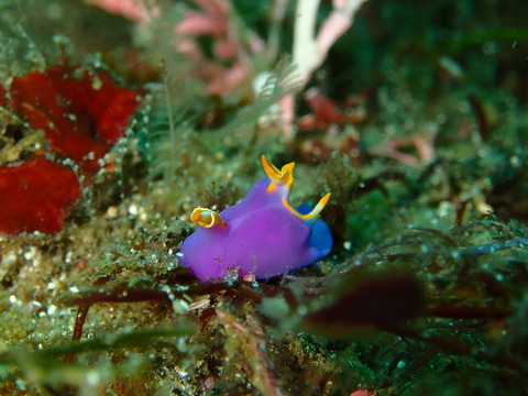 P7220057
