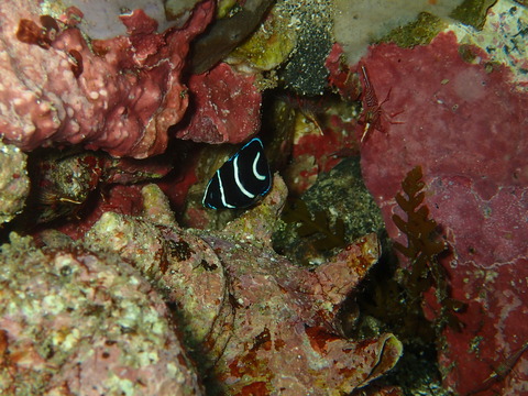 P7220096