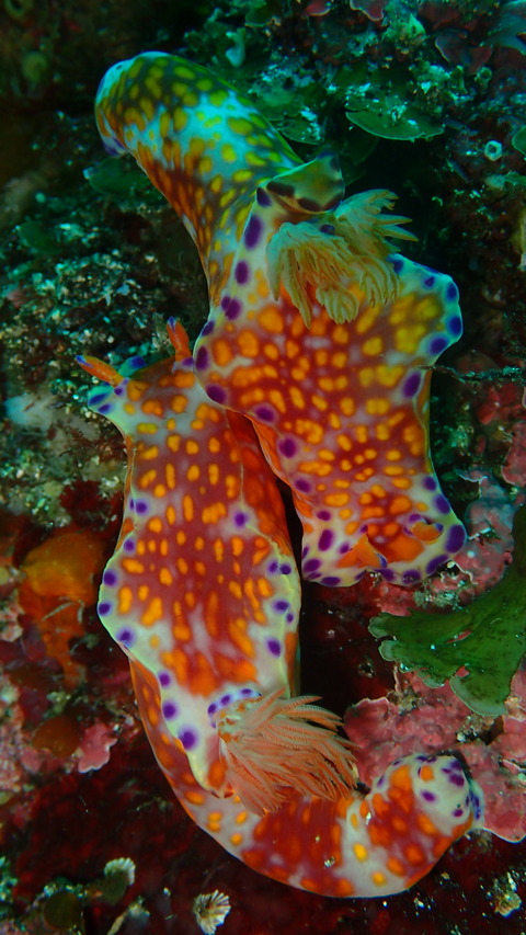 P7190277
