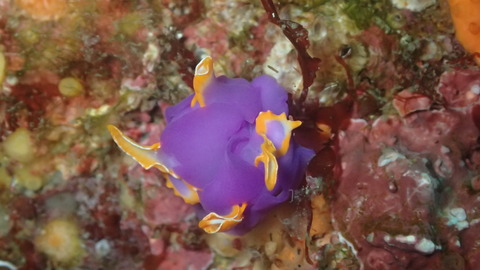 P7180100