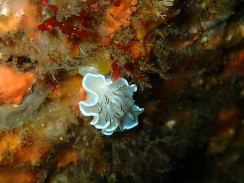 P7220071