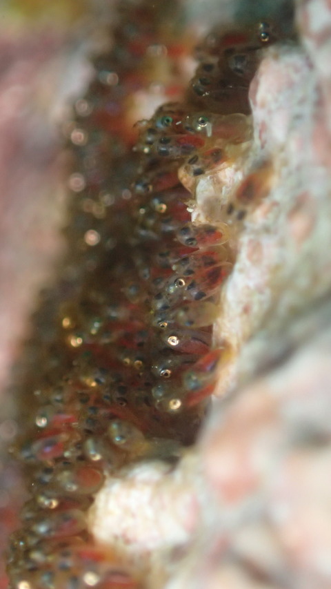 P7180145