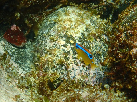 P7220101