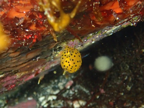 P7220044