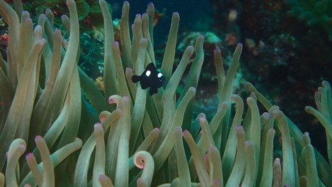 P7180040