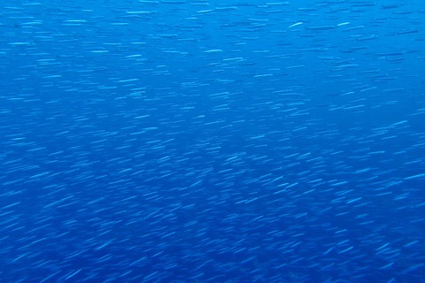 PC102277