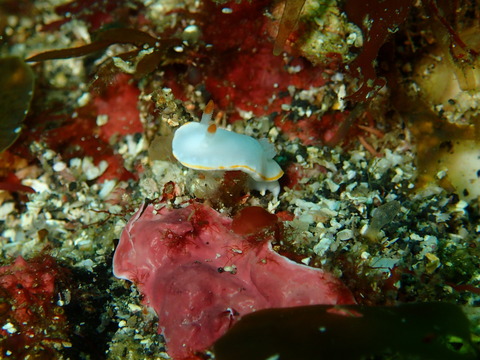 P7220021